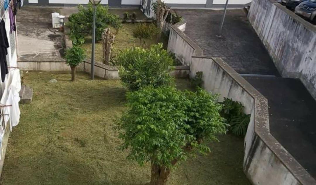 Apartamento Orquidea Ponta Delgada المظهر الخارجي الصورة