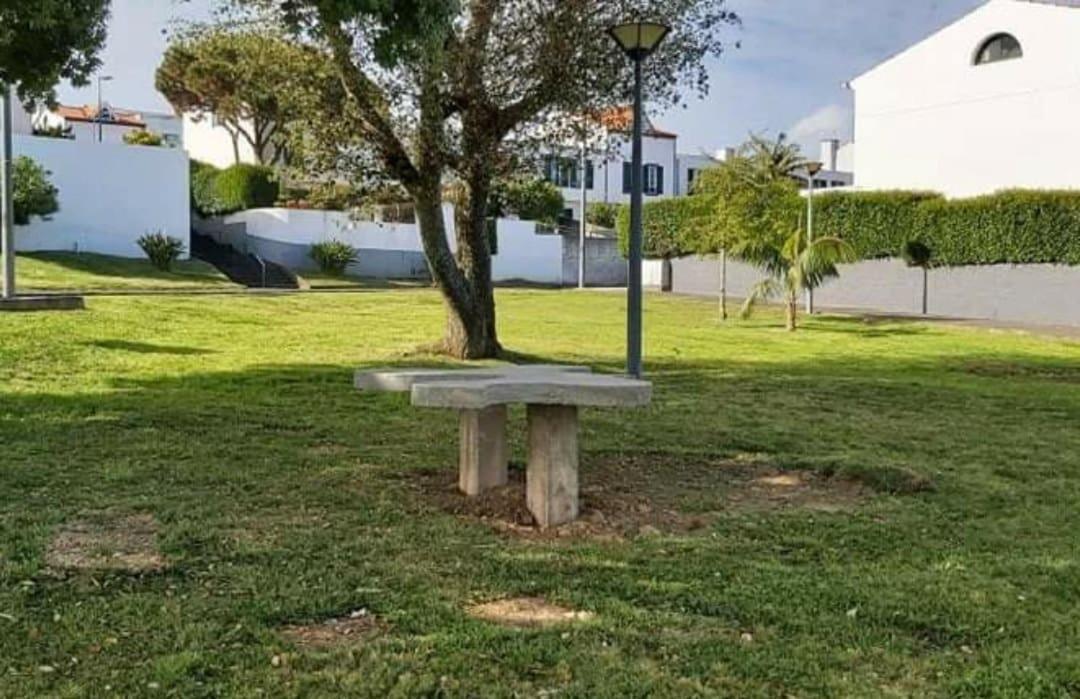 Apartamento Orquidea Ponta Delgada المظهر الخارجي الصورة