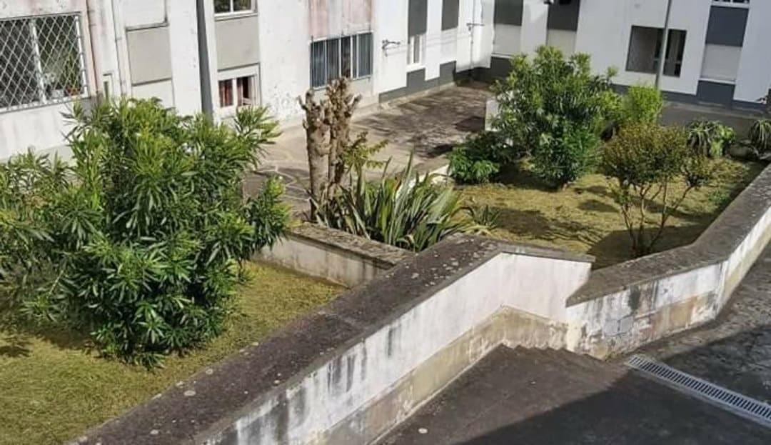 Apartamento Orquidea Ponta Delgada المظهر الخارجي الصورة
